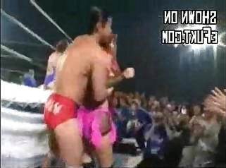 Japanese Free Style Wrestling