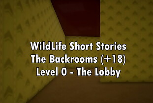Wild Life Short Stories - The Backrooms